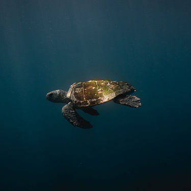 James Stronsky 1112024 Unsplash