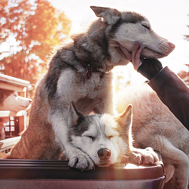 Daniel Lincoln 1111325 Unsplash