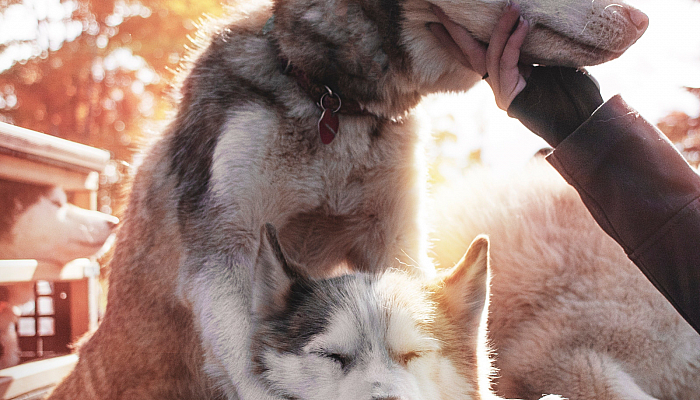 Daniel Lincoln 1111325 Unsplash